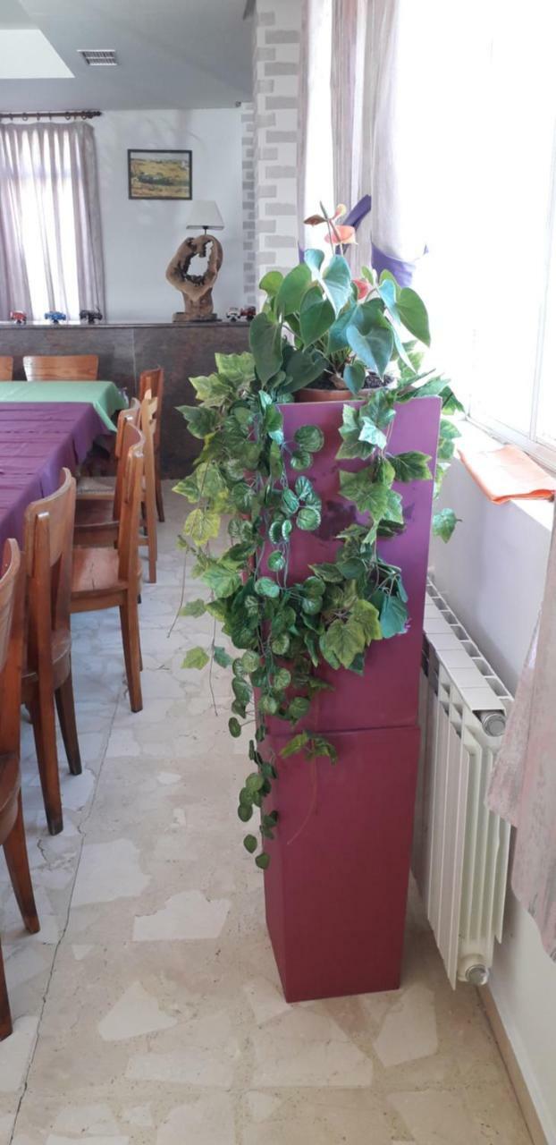 Hostal El Tropezon Matallana de Valmadrigal Esterno foto